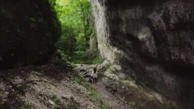 Genç bir kadın, kaynayan bir dağ nehrini, dar bir tahta köprünün üzerinden geçiyor.