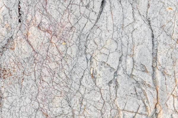 Białe tekstura tekstury kamień morze — Zdjęcie stockowe