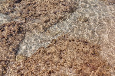 Arka plan deniz suyu ve deniz taşları 