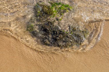 Rock ve deniz arka kapatmak