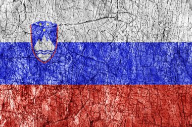 Taş Slovenya bayrağı boyalı kin