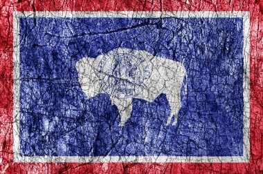 Taş boyalı bize Wyoming bayrak kin