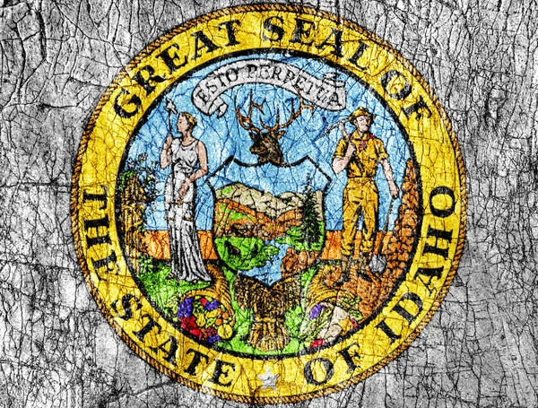 Grudge stone painted US Idaho seal flag — Stock Photo, Image