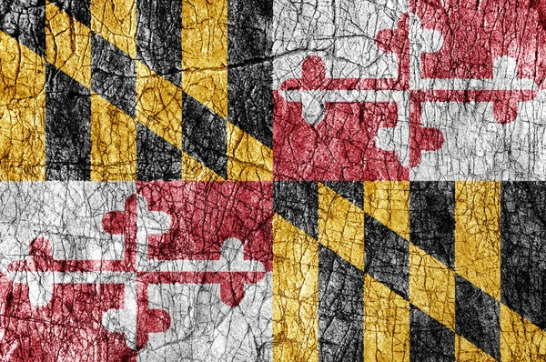 Grudge stone painted US Maryland flag — Stock Photo, Image