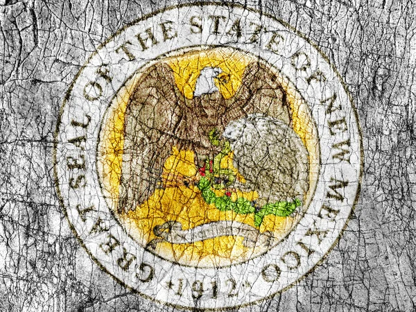 Grudge stone painted US New Mexico seal flag — Stock Photo, Image