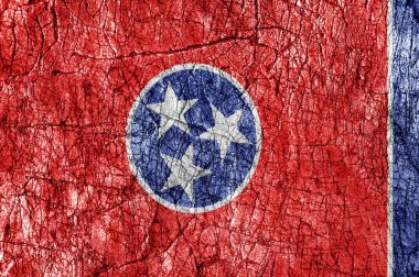 Taş boyalı bize Tennessee bayrak kin