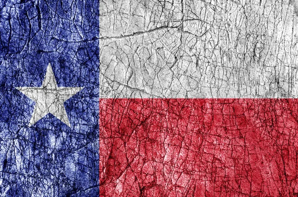 Piedra de rencor pintada bandera de Texas — Foto de Stock