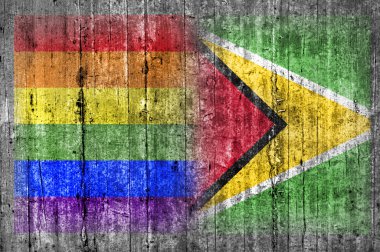 Beton duvar LGBT ve Guyana bayrağı 