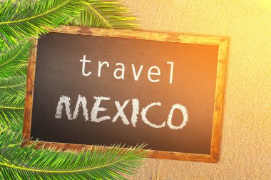 Seyahat Meksika palmiye ağaçları ve kum plajındaki tahta