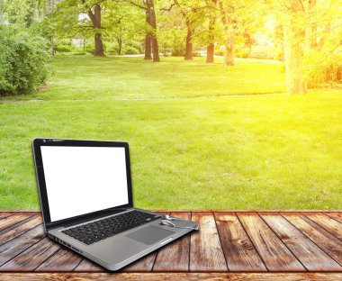 Ahşap Teras Pc ve çim