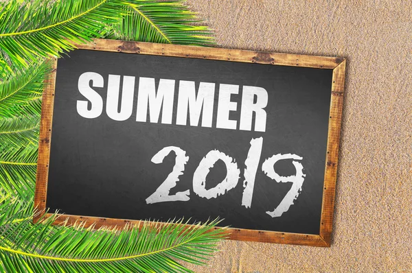 Palm trees and summer 2019 written on blackboard — Stock Photo, Image