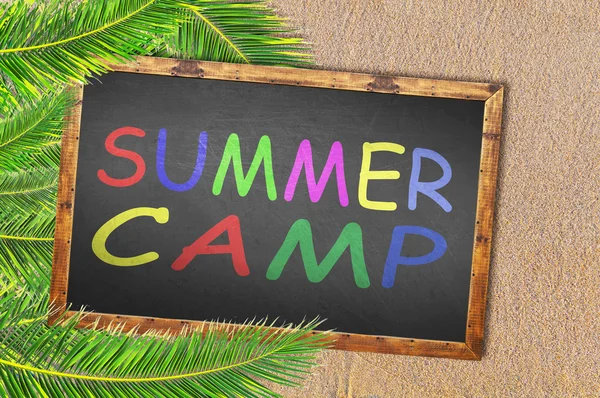 Palmeras y campamento de verano escrito en pizarra — Foto de Stock