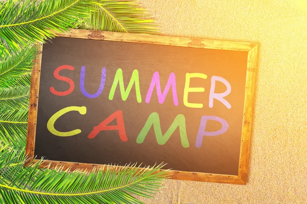 Palmeras y campamento de verano escrito en pizarra — Foto de Stock
