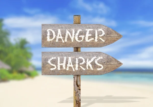 Wooden direction sign with danger shark