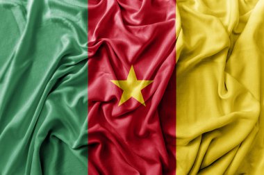 Sallama Kamerun bayrağı karıştırdı