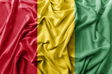 Sallama Gine bayrağı karıştırdı