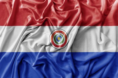 Sallama Paraguay bayrak karıştırdı