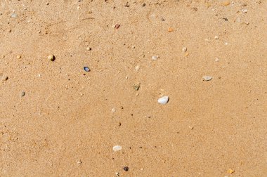 Sandy beach ve arka plan için taş