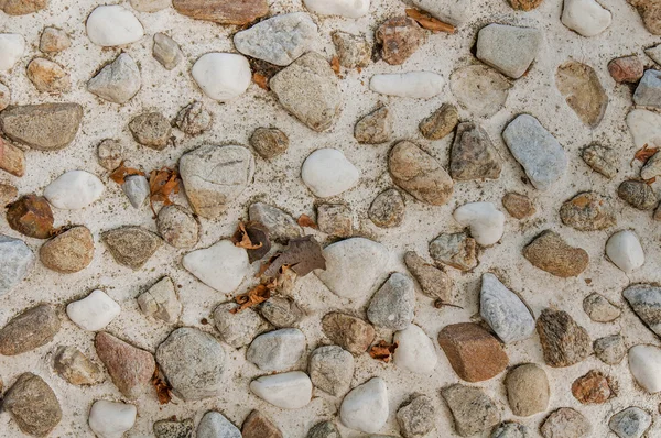 Little rock on concrete wall — Stock Photo, Image