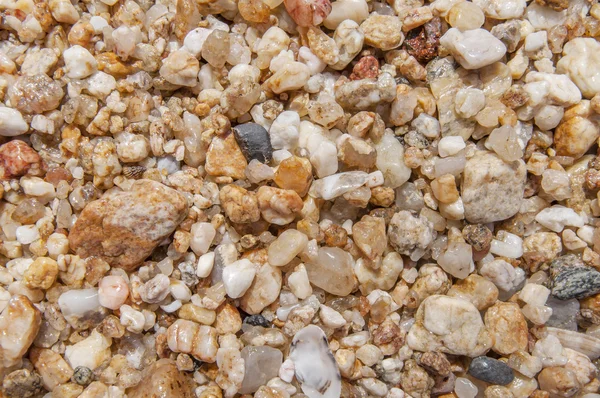 Sea pebble stone macro texture background — Stock Photo, Image