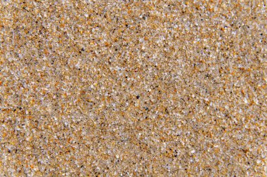 Sandy beach arka plan makro kum doku