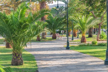 Palmiye ağacı beach promenade arka plan ile kapatmak