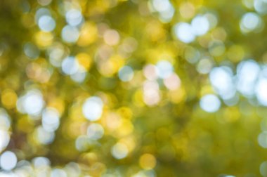 Sarı bokeh arka ışık plan, açık