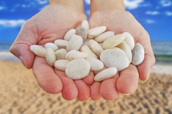 Woman hands holding small stones in hands on beach background