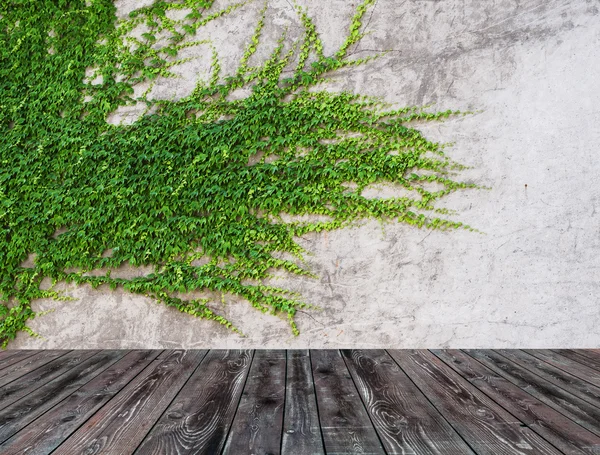 Hojas verdes pared y suelo de madera vieja para el fondo —  Fotos de Stock