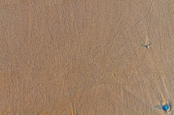 Fundo de praia arenosa, textura de areia detalhada, vista superior — Fotografia de Stock