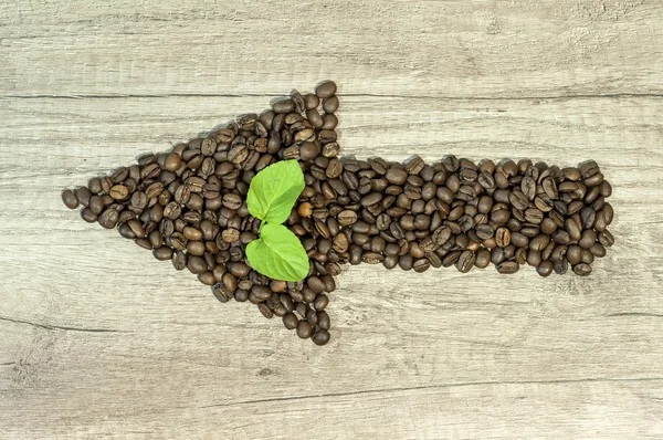Seta dos grãos de café com folha de chá de hortelã na mesa de madeira — Fotografia de Stock