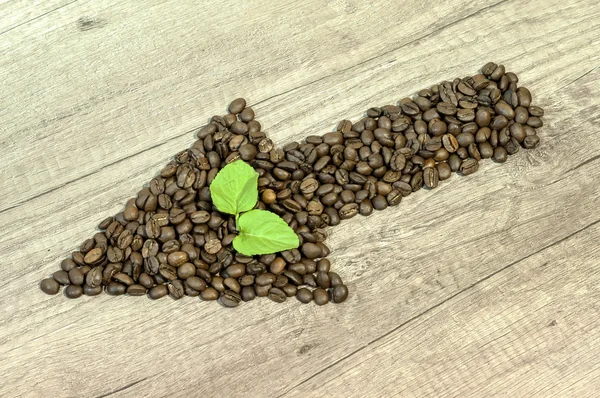 Seta dos grãos de café com folha de chá de hortelã fundo de madeira semeadura esquerda para baixo — Fotografia de Stock