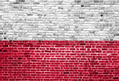 Polonya bayrağı arka plan doku tuğla duvara boyalı