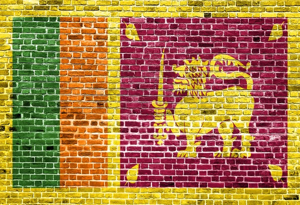 Bandera de Sri Lanka pintada sobre pared de ladrillo, textura de fondo — Foto de Stock