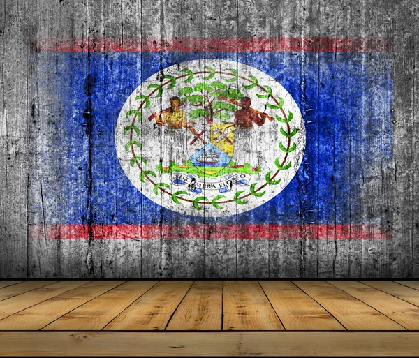 Belize flag painted on background texture gray concrete with wooden floor — Stock Photo, Image