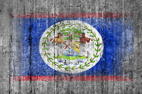 Belize flag painted on background texture gray concrete — Stock Photo, Image