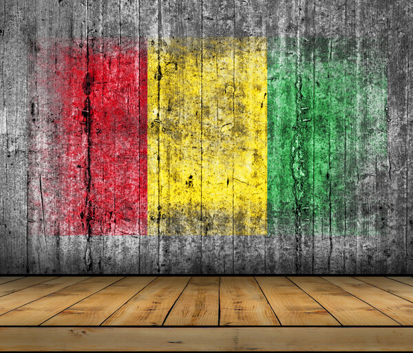 Guinea flag painted on background texture gray concrete with wooen floor