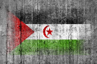 Arka plan doku gri üzerine beton boyalı Sahra Arap Demokratik Cumhuriyeti bayrağı
