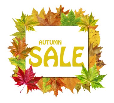 Çevresinde sonbahar yaprakları ve beyaz izole kelime sonbahar ile küp