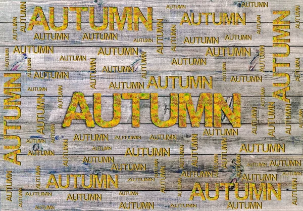Outono palavra feita de folhas e palavra isolada em fundo de madeira — Fotografia de Stock