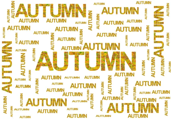 Outono palavra feita de folhas isoladas em branco — Fotografia de Stock