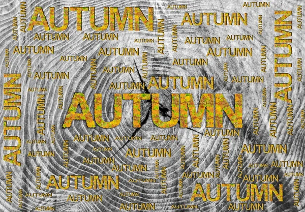 Outono palavra feita de folhas e palavra isolada em fundo de madeira — Fotografia de Stock