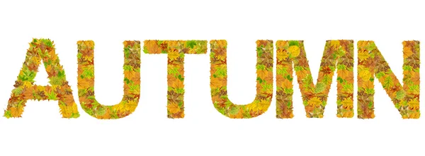 Outono palavra feita de folhas isoladas em branco — Fotografia de Stock