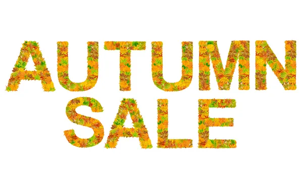 Podzimní prodej vyrobené z barevných leasves izolované na bílém — Stock fotografie