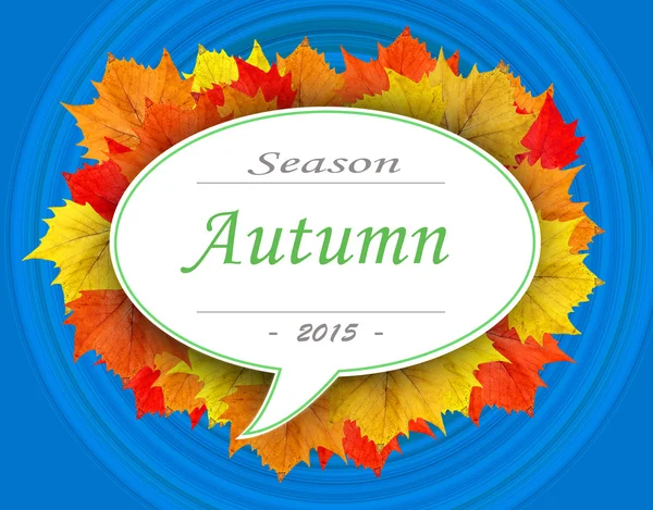 Herbstsaison 2015 auf Blattwolke mit blauem Hintergrund — Stockfoto