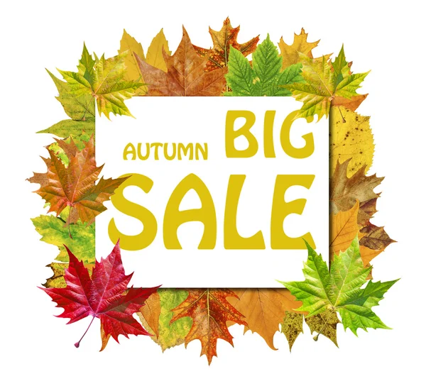 Krychle s podzimním listím kolem a slovo velký podzimní výprodej izolované na bílém — Stock fotografie