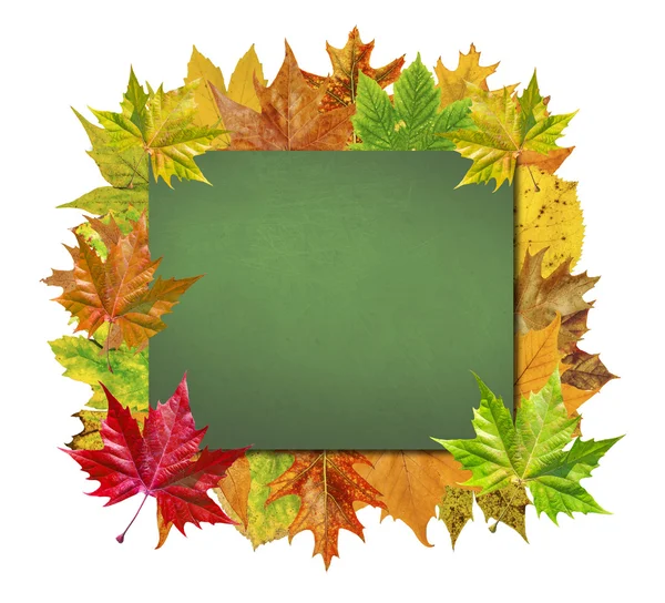 Empty board with colorful leaves isolated on white — Stock Photo, Image