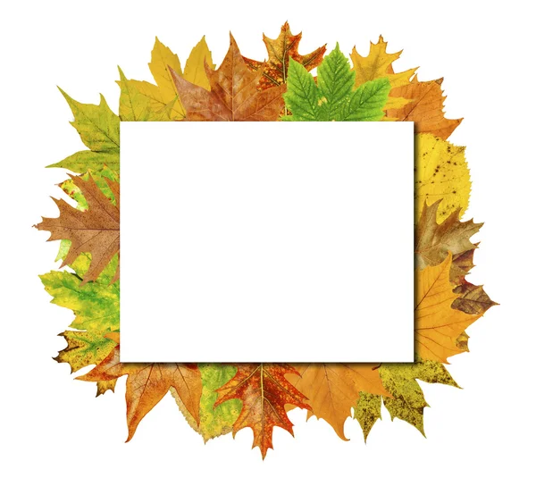 Empty Cube board with colorful leaves isolated on white — Stock Photo, Image