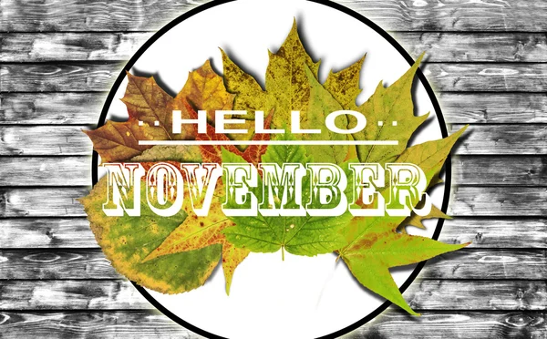 Witam listopada i jesienią liście tło z kolorowych na B&W Deska drewniana — Zdjęcie stockowe