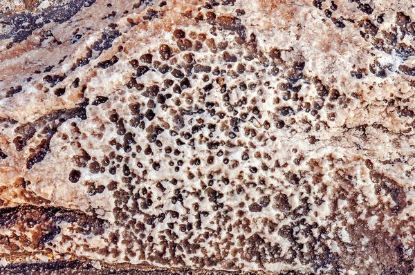 Tekstura kamień, tekstura tło morza — Zdjęcie stockowe